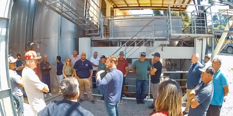 Missão técnica aproxima produtores de Campestre do Tigre da indústria vinícola em Otávio Rocha, em Flores da Cunha (RS)
