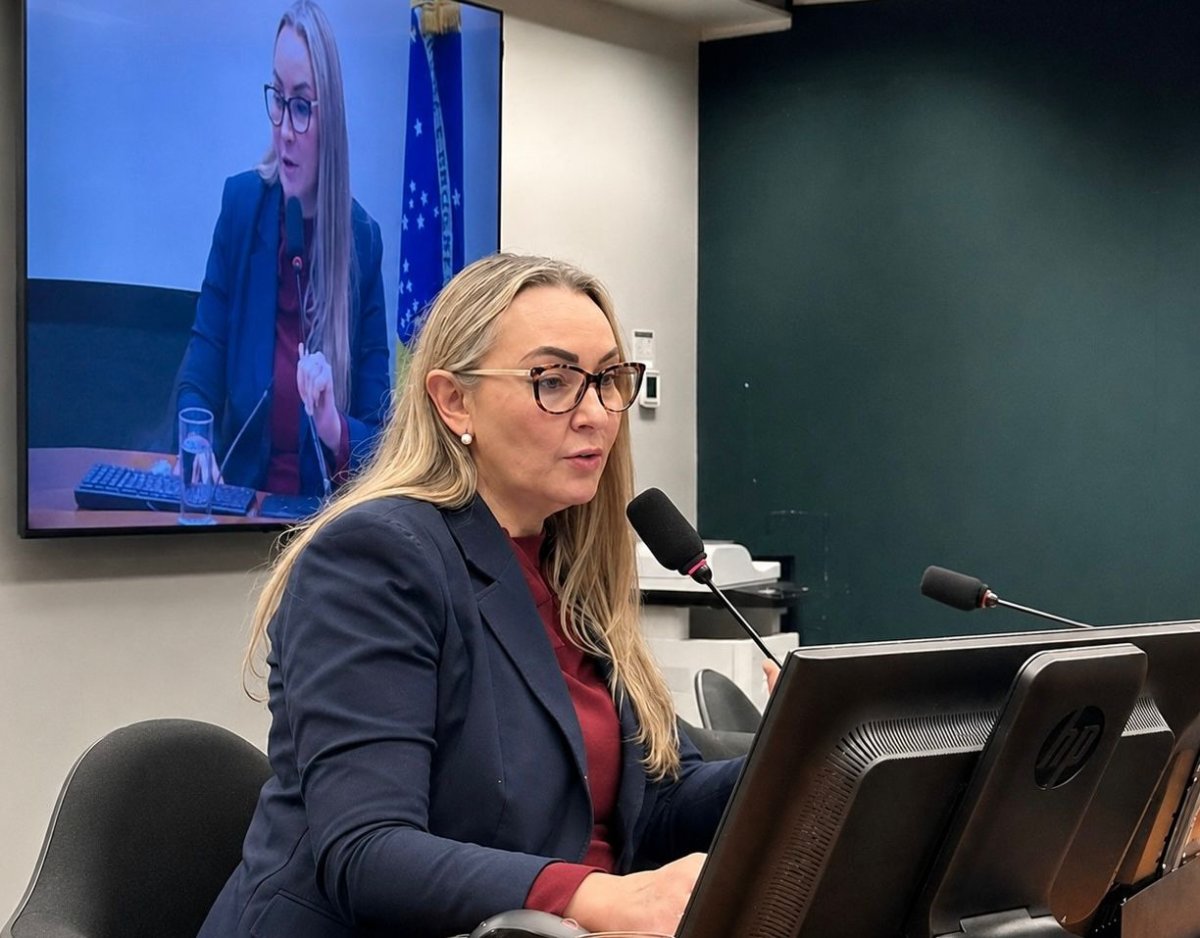 Daniela Reinehr lidera debate sobre Rota dos Vales, vinhos de altitude e turismo rural na Câmara Federal