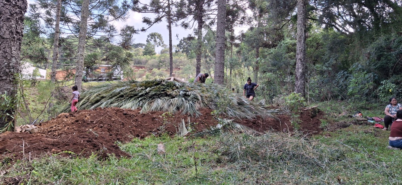 Foto da galeria
